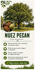 Árbol Nuez Pecan