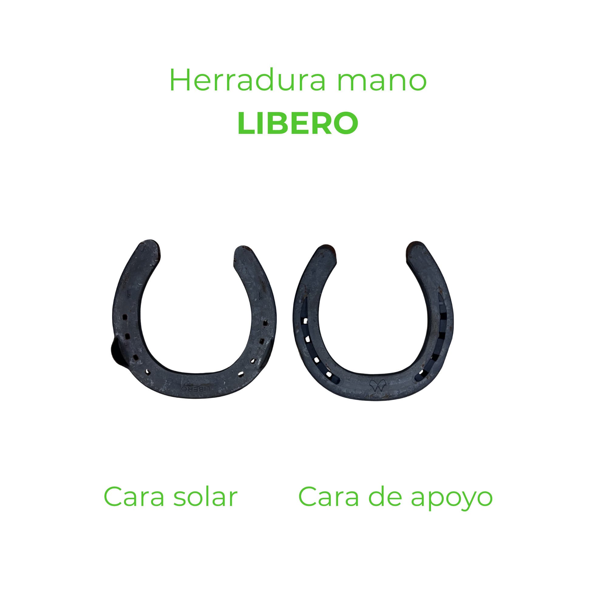 HERRADURA LIBERO MANO
