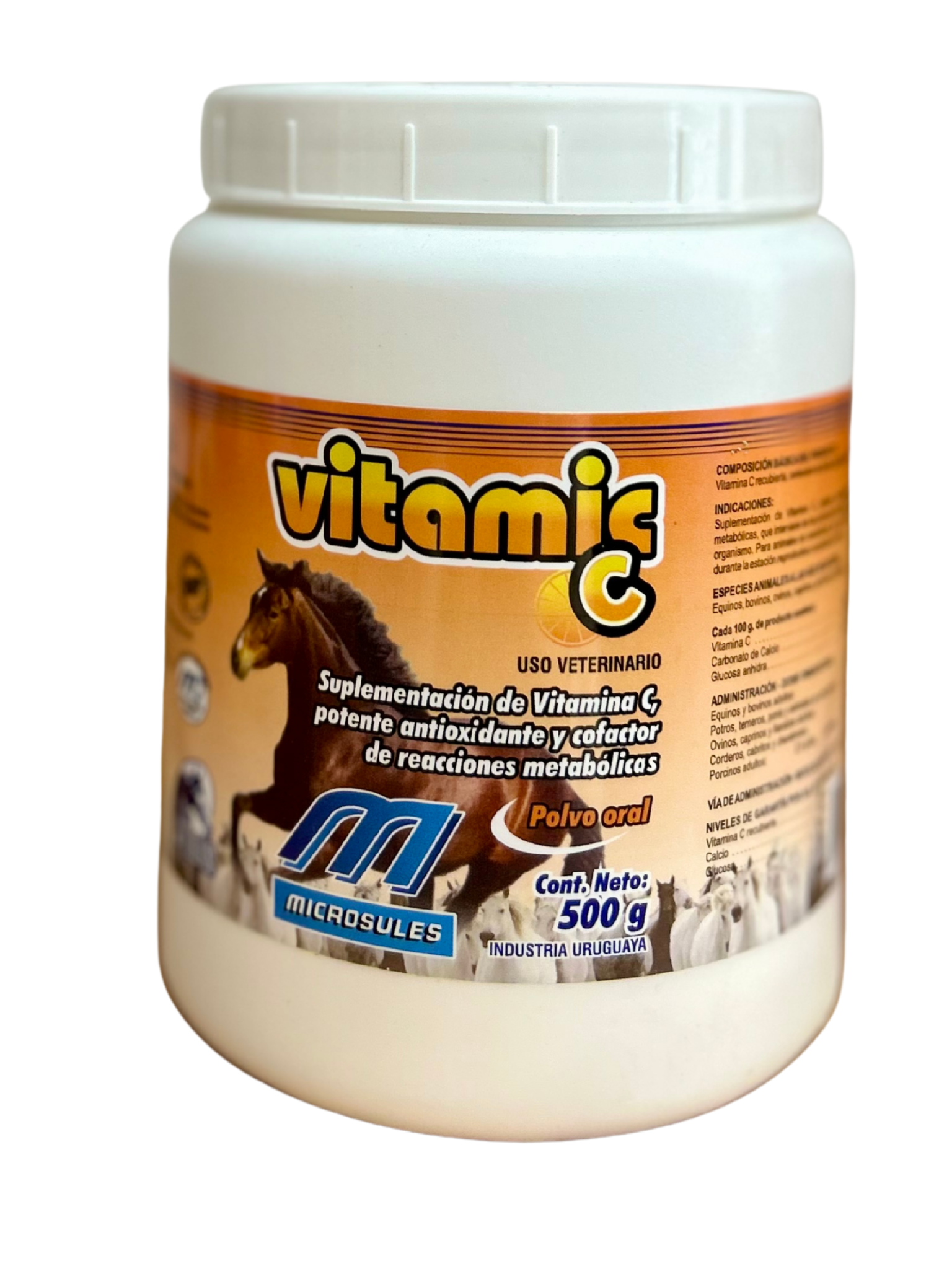 VITAMINA C POLVO 500GR
