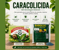 Caracolicida en caja